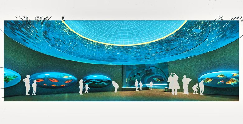 45 million dollars will be invested in the Greater Aquarium of Latin America